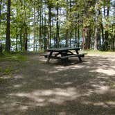 Review photo of Waterloo Portage Lake Modern — Waterloo Recreation Area by Tarah W., June 17, 2016