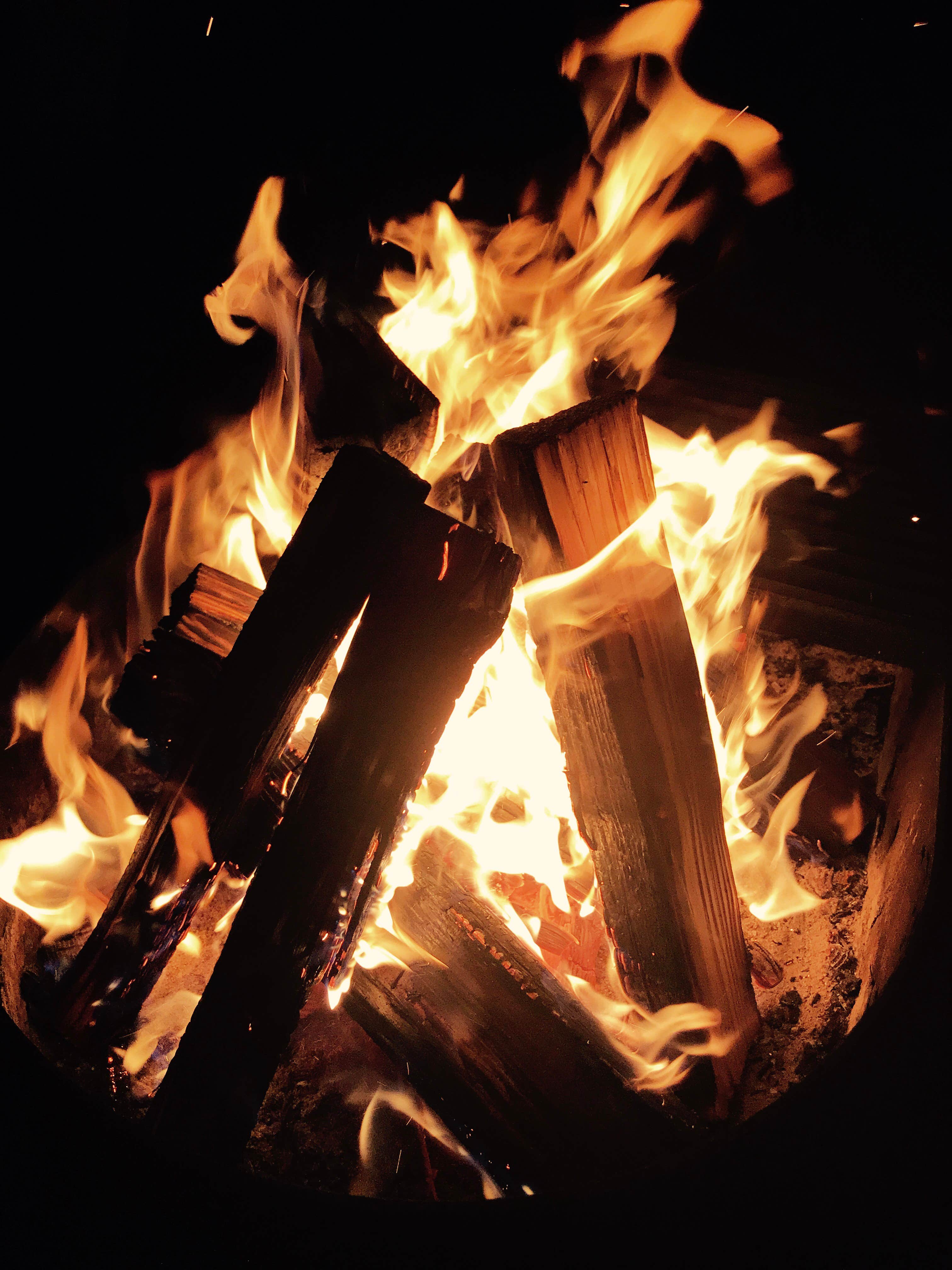 Camper submitted image from Bullards Beach State Park Campground - 3