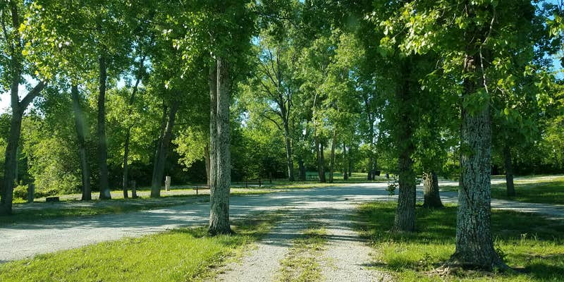 Camper submitted image from Idle Hour Lake
