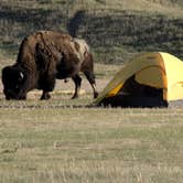 Review photo of Sage Creek Campground by Kathie O., May 7, 2017