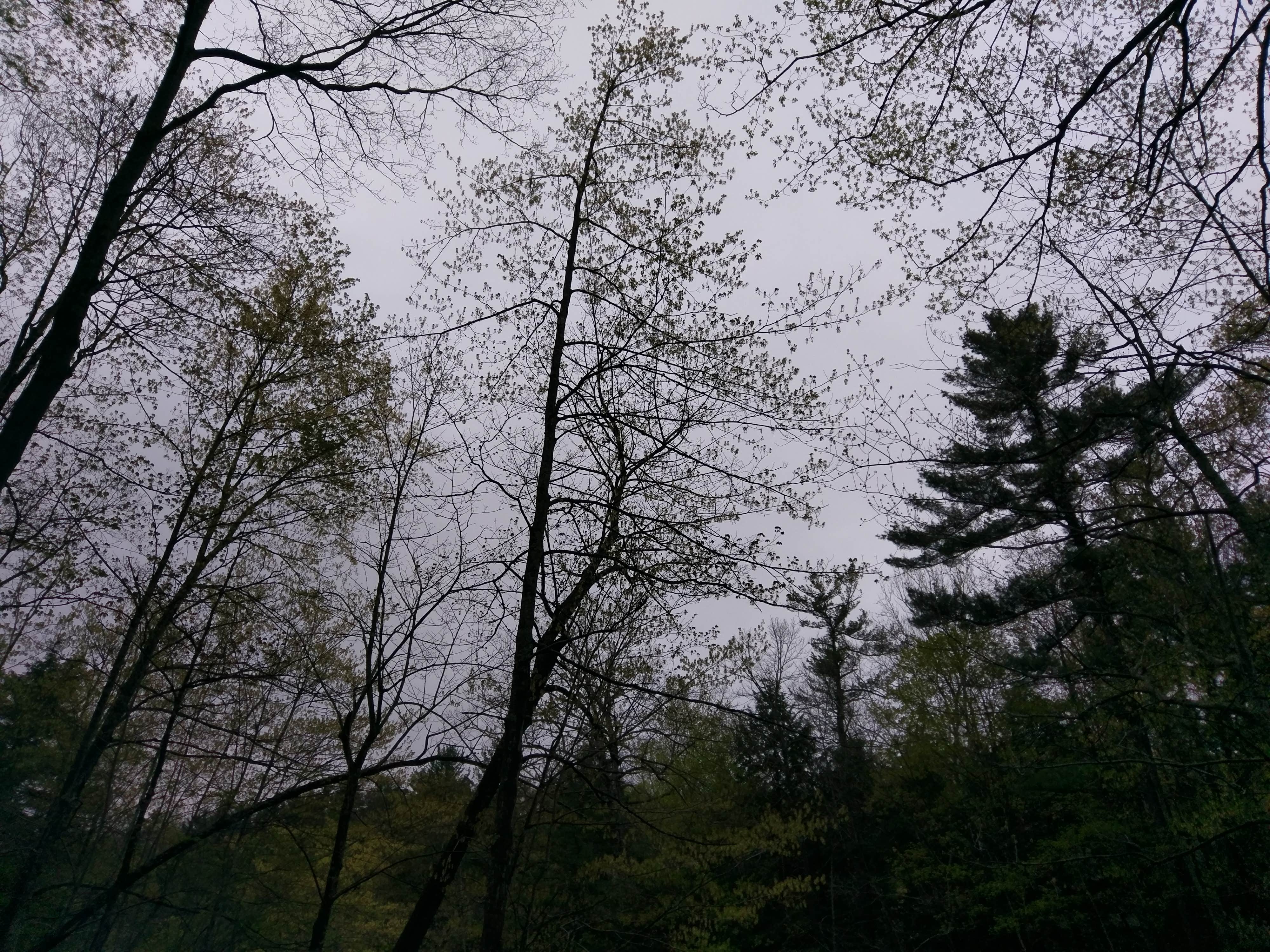 Camper submitted image from Stony Brook State Park Campground - 2