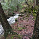Review photo of Stony Brook State Park Campground by Geoff W., May 7, 2017