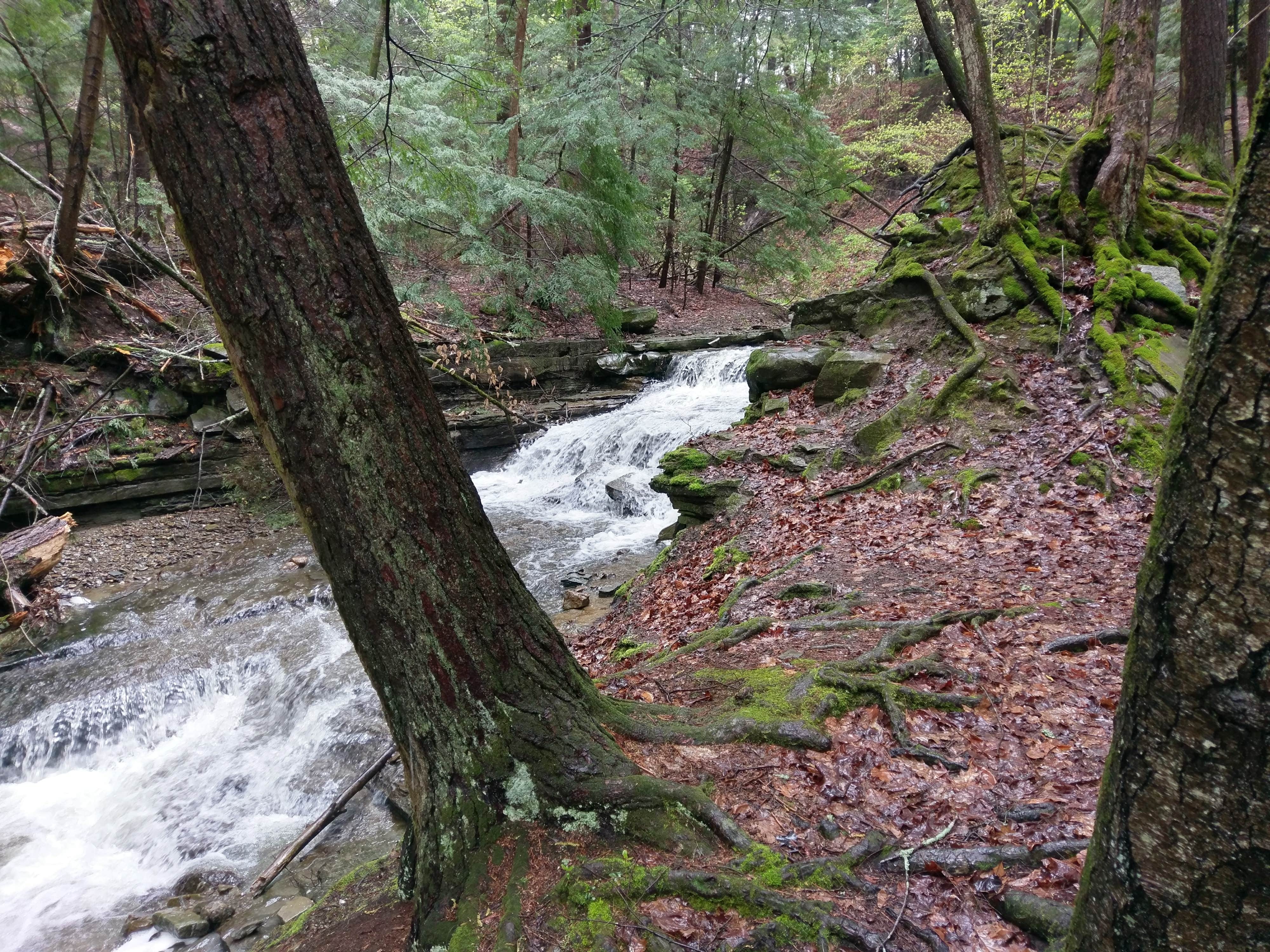 Camper submitted image from Stony Brook State Park Campground - 4