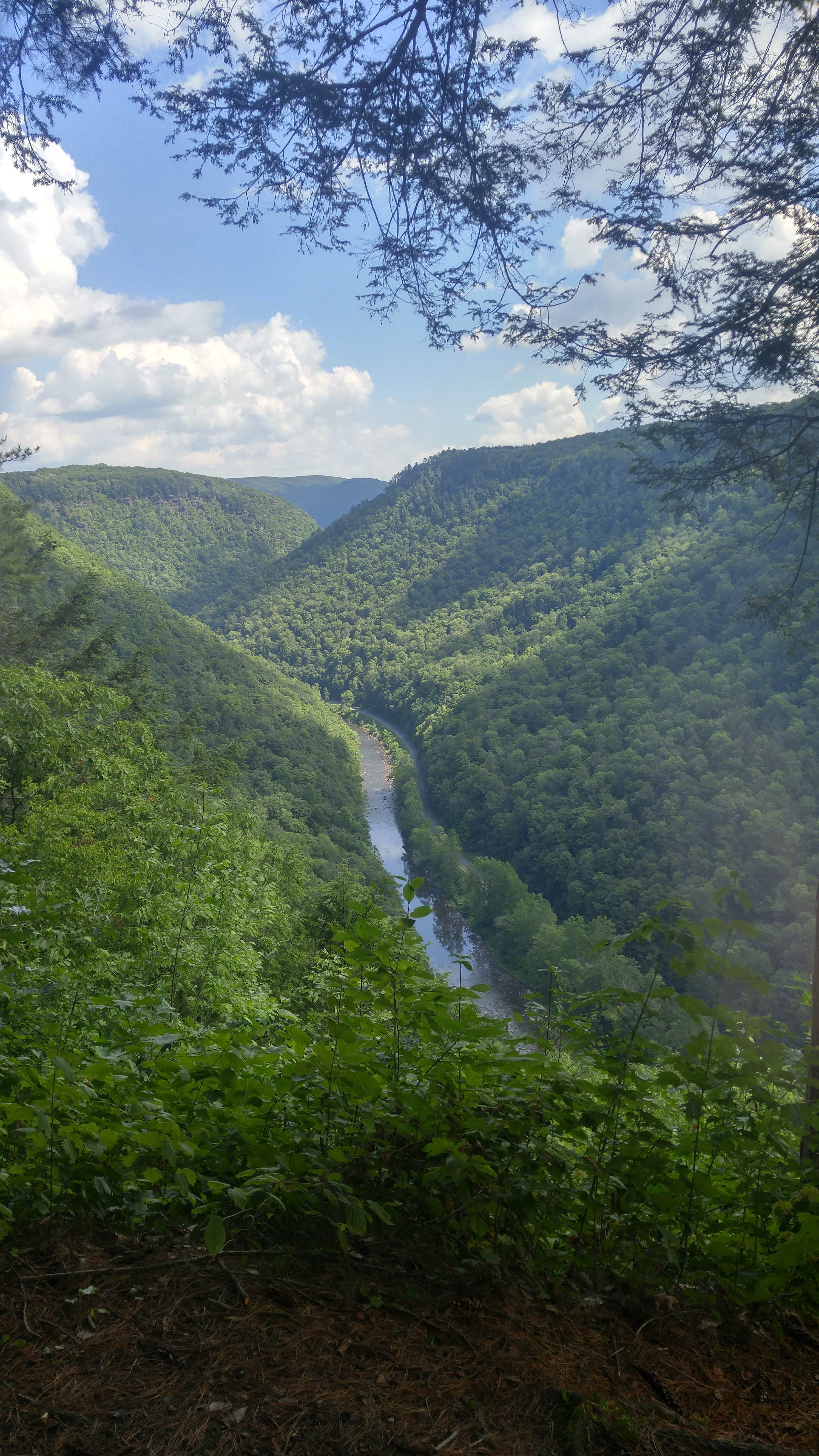 Camper-submitted photo at Colton Point State Park Campground near Cammal, PA