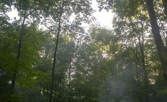 Heather D.'s photo at Colton Point State Park Campground near Galeton, PA