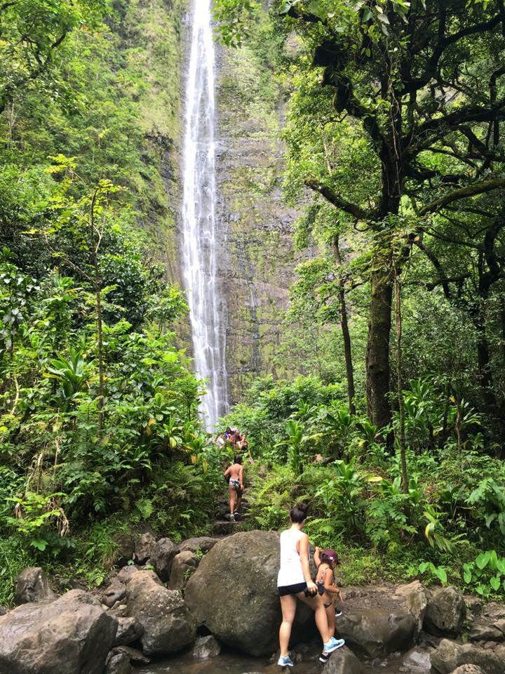 Camper submitted image from Kīpahulu Campground — Haleakalā National Park - 4