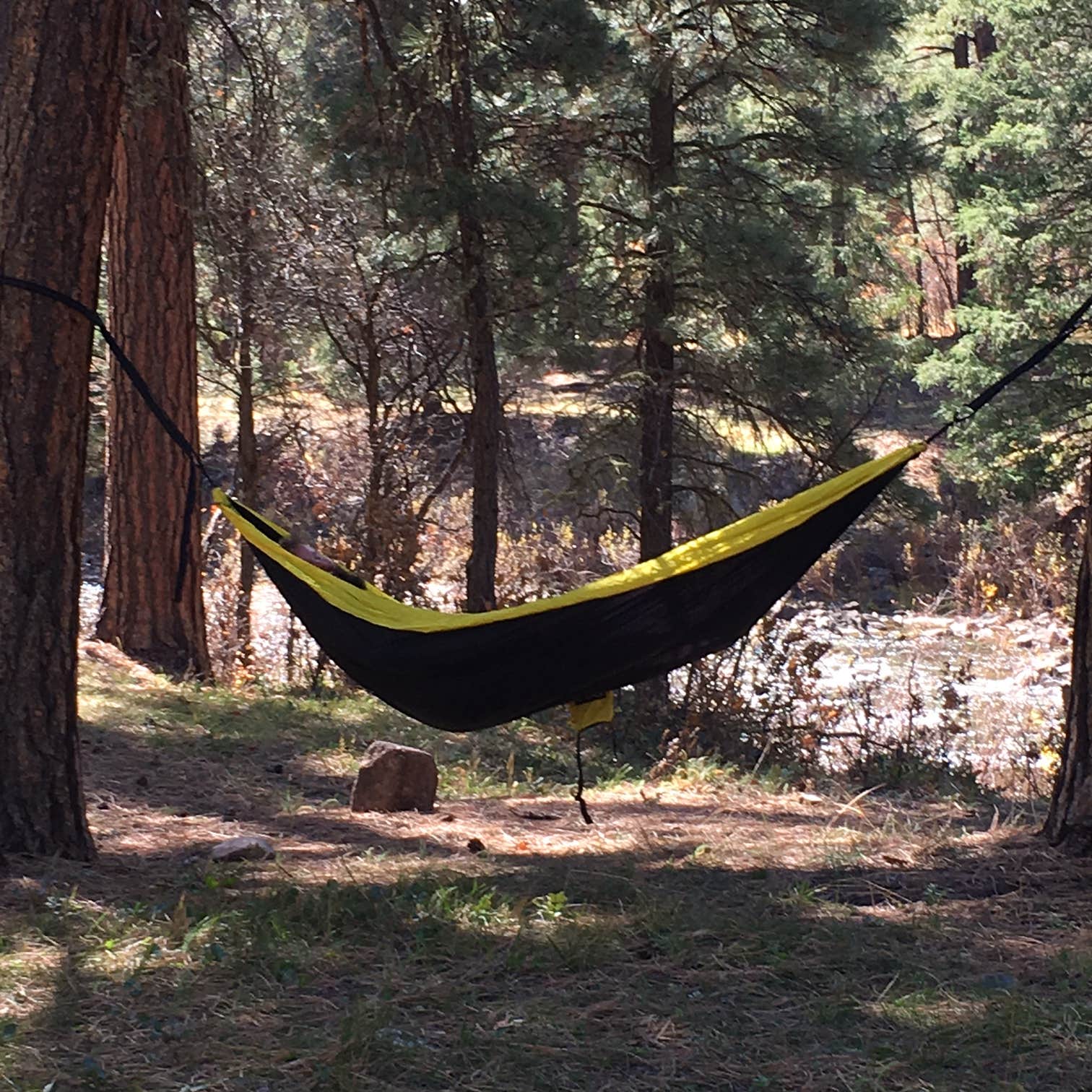 Escape To The Wild: Unplug And Explore At Colorado’s Lower Piedra Campground