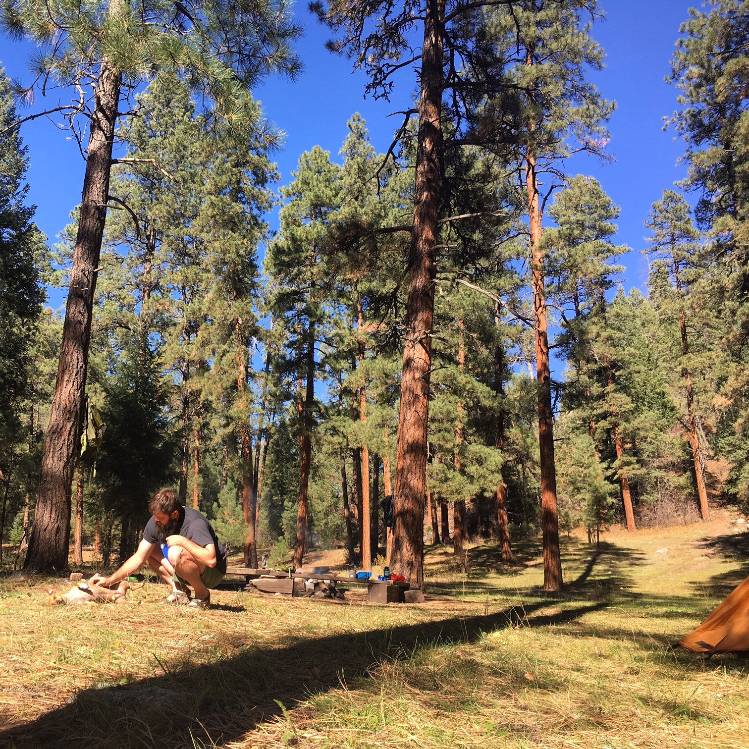 Camper submitted image from Lower Piedra Campground - 4
