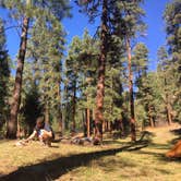 Review photo of Lower Piedra Campground by Nicole P., May 7, 2017
