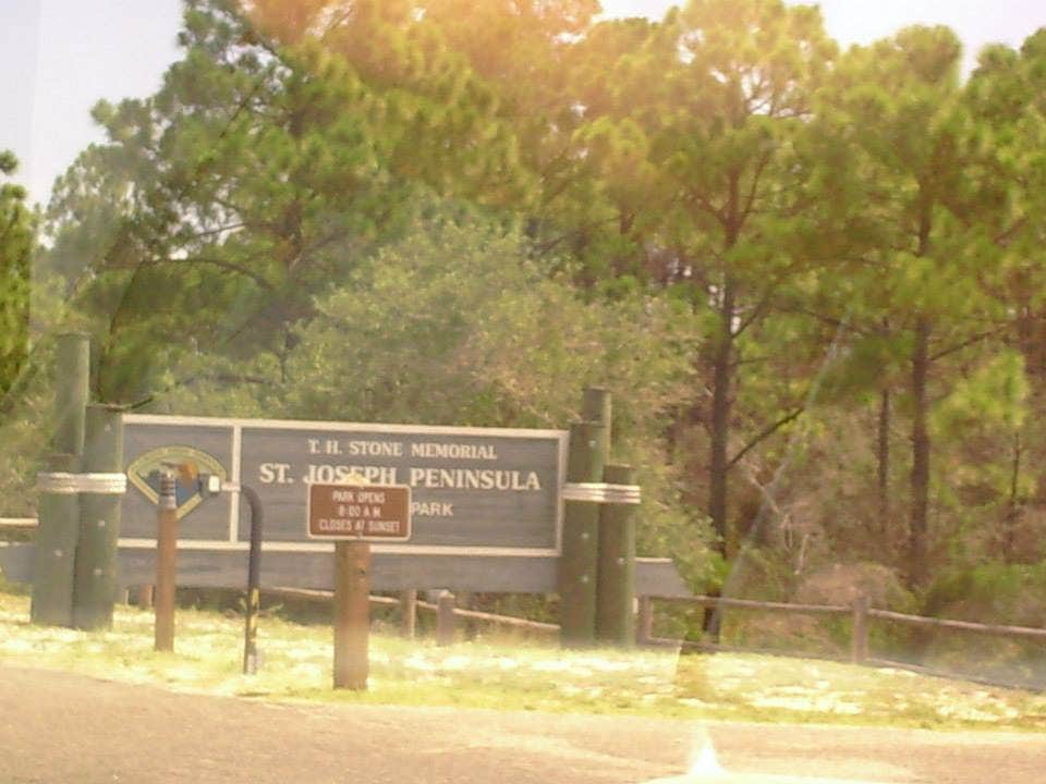 Camper submitted image from T.H. Stone Memorial St. Joseph Peninsula State Park Campground - 3