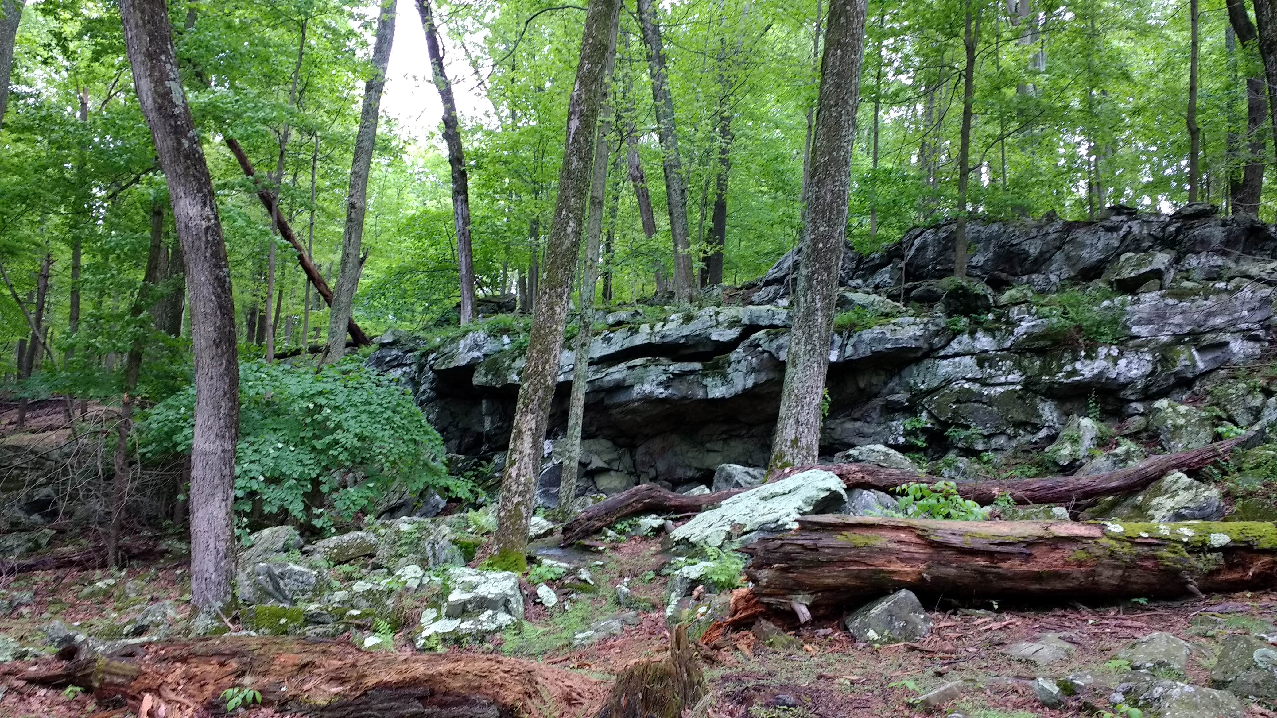 Camper-submitted photo at Manor - Cunningham Falls State Park near Rouzerville, PA