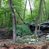 Review photo of Manor - Cunningham Falls State Park by Lexie H., May 8, 2017