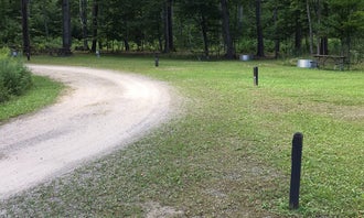 Camping near Merwin Creek State Forest Campground: Indian Lake State Park West Campground — Indian Lake State Park, Manistique, Michigan