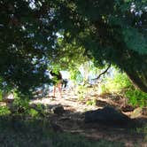 Review photo of J.W. Wells State Park Campground by Sally H., May 8, 2017