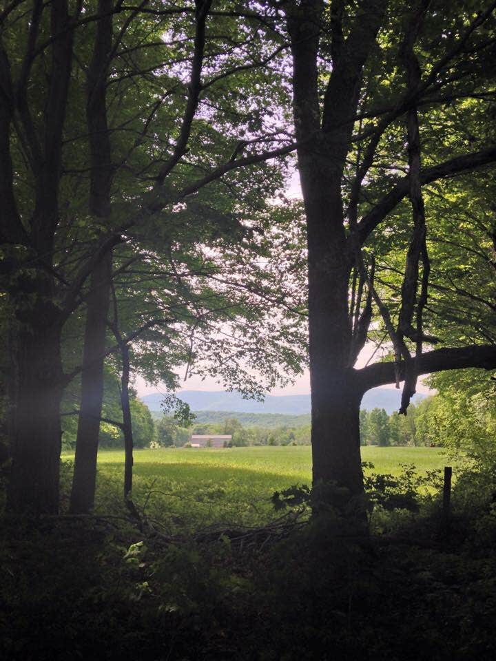 Camper-submitted photo at Sperry Road Campground — Mount Greylock State Reservation near West Stockbridge, MA