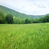 Review photo of Mount Greylock State Reservation by Kristin J., May 8, 2017