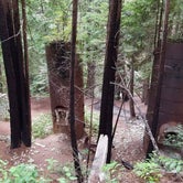 Review photo of Limekiln State Park - TEMPORARILY CLOSED by Lizzy C., May 8, 2017