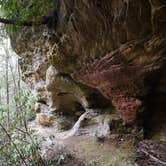 Review photo of Whittleton Campground — Natural Bridge State Resort Park by Jonathan M., May 8, 2017