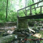 Review photo of Group Camp — Ridley Creek State Park by Andrea R., May 8, 2017