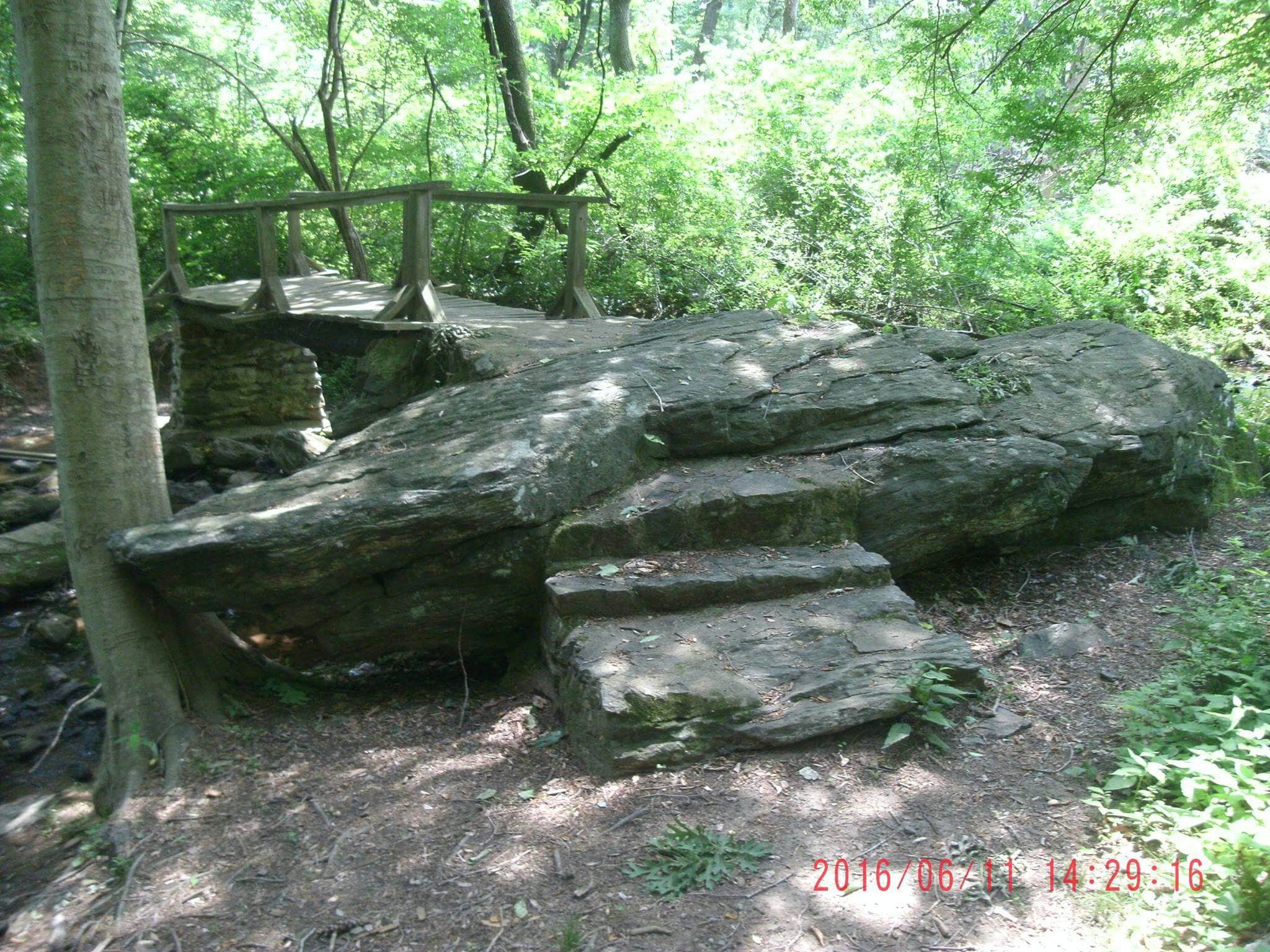 Camper-submitted photo at Group Camp — Ridley Creek State Park near Hockessin, DE