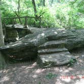 Review photo of Group Camp — Ridley Creek State Park by Andrea R., May 8, 2017