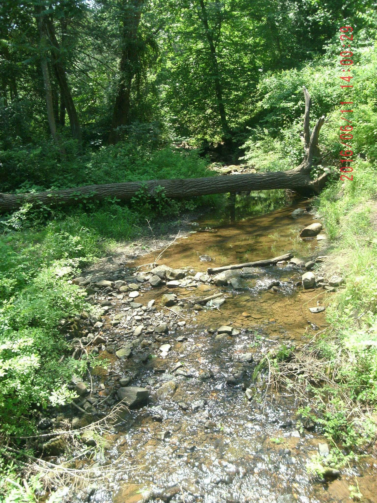 Camper-submitted photo at Group Camp — Ridley Creek State Park near Hockessin, DE