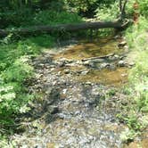 Review photo of Group Camp — Ridley Creek State Park by Andrea R., May 8, 2017