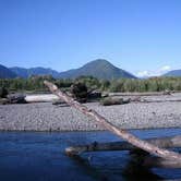 Review photo of Hoh Campground — Olympic National Park by Andrea R., May 8, 2017