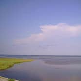 Review photo of T.H. Stone Memorial St. Joseph Peninsula State Park Campground by Jessica D., June 17, 2016