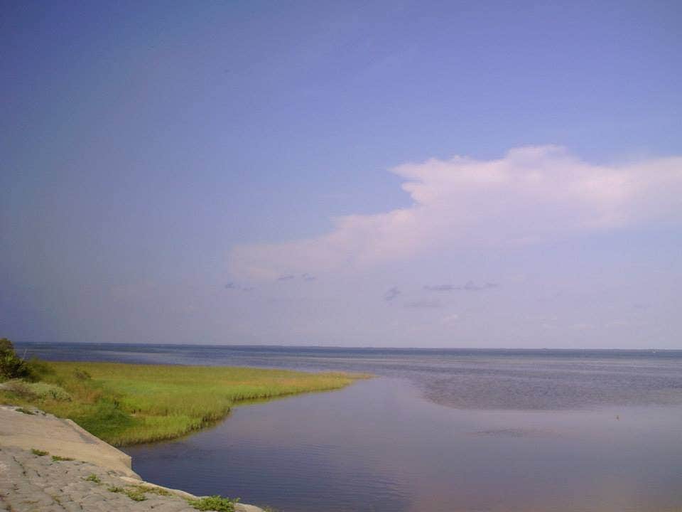 Camper submitted image from T.H. Stone Memorial St. Joseph Peninsula State Park Campground - 3