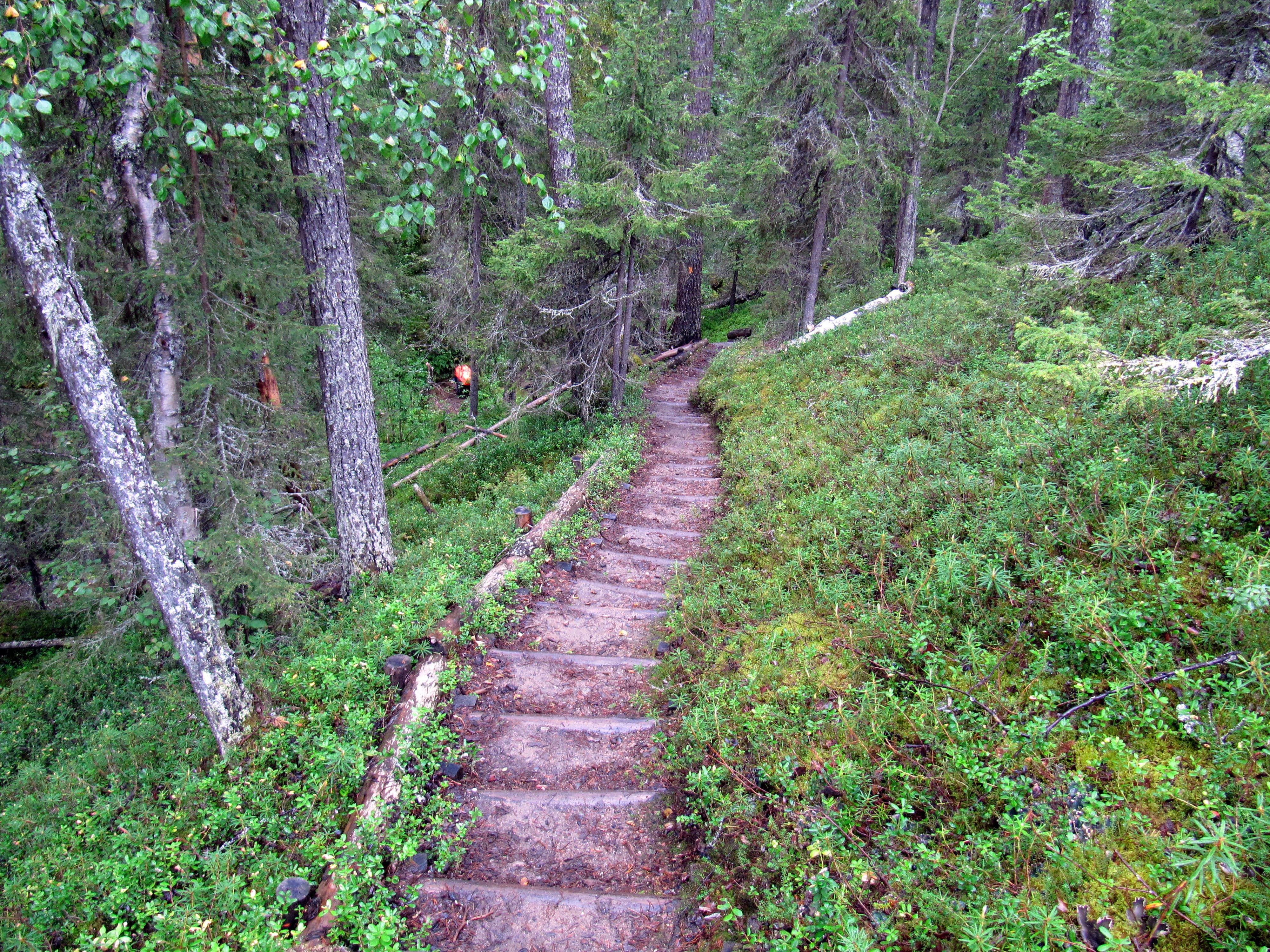 Camper-submitted photo at Three Lakes RV Resort, A Sun RV Resort near Hudson, FL