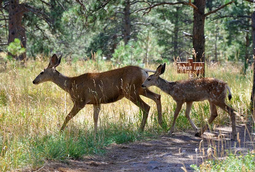 Camper-submitted photo at Three Lakes RV Resort, A Sun RV Resort near Hudson, FL