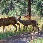 Review photo of Three Lakes RV Resort, A Sun RV Resort by Sasha W., May 8, 2017