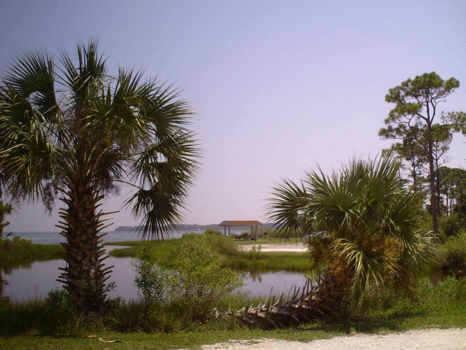 Camper submitted image from T.H. Stone Memorial St. Joseph Peninsula State Park Campground - 2