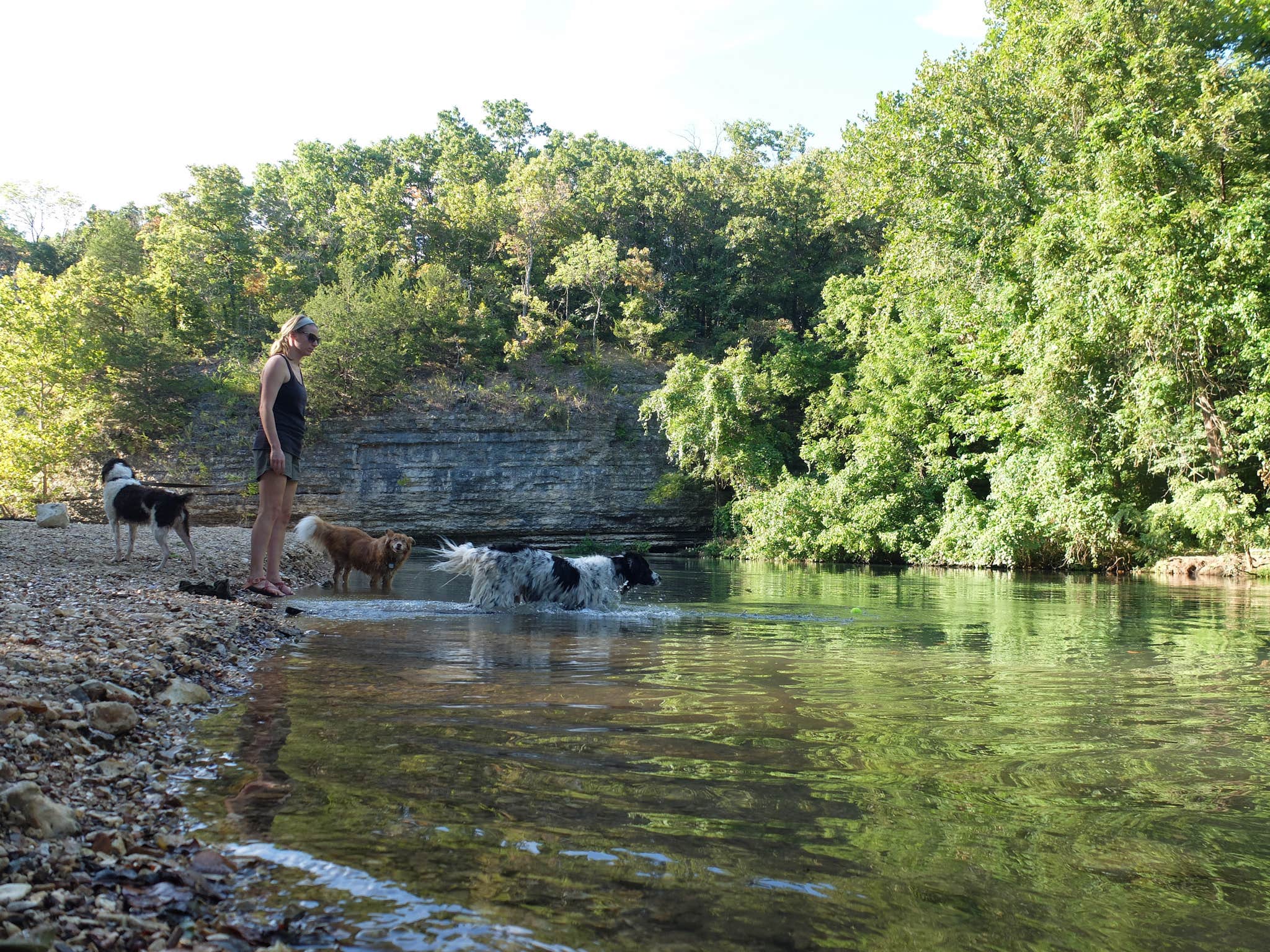 Camper submitted image from Cherokee Landing State Park Campground - 3