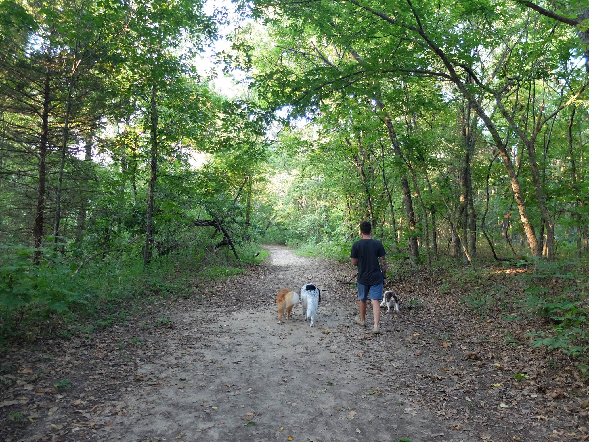 Camper submitted image from Osage Hills State Park Campground - 5