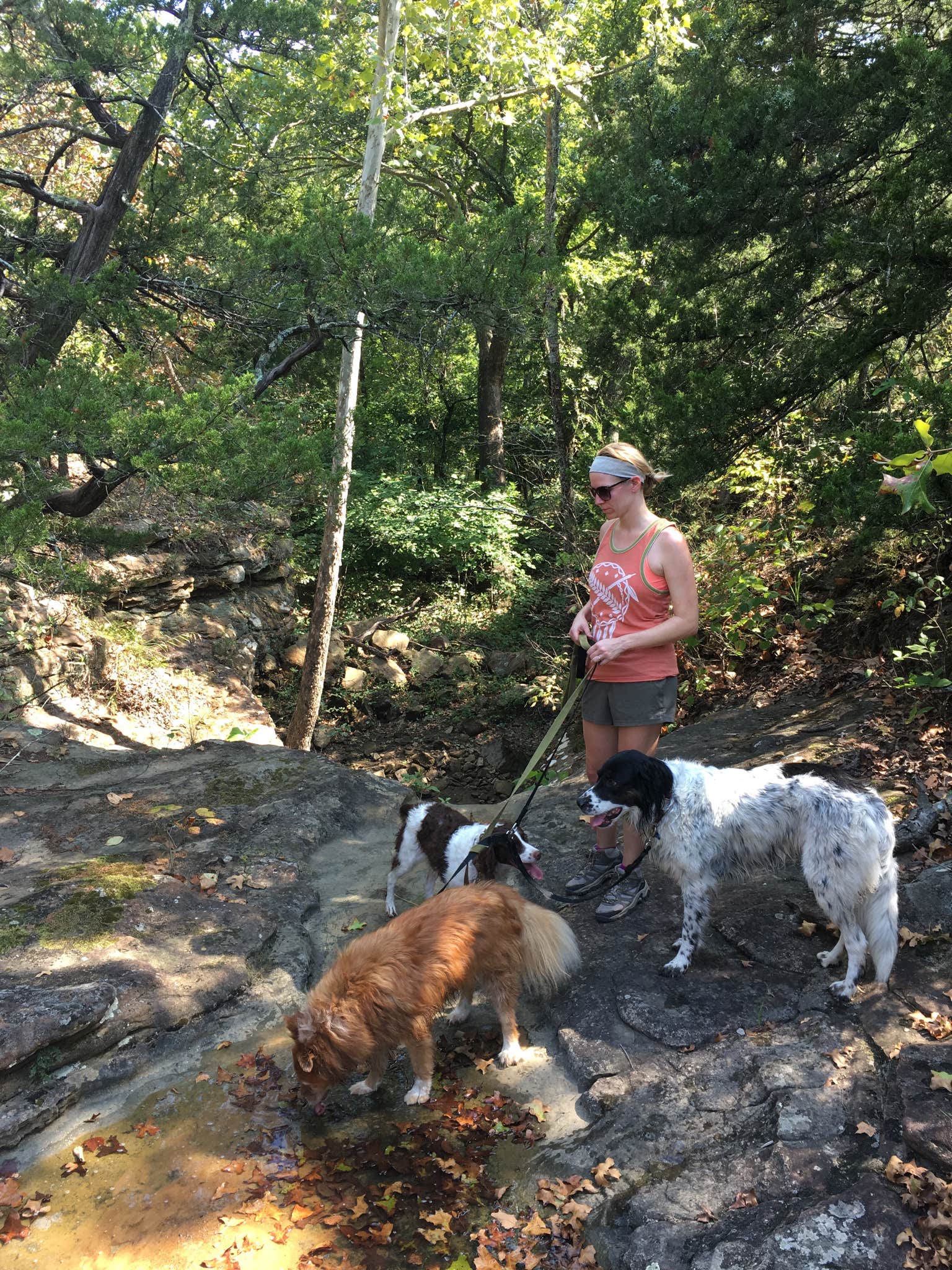 Dusty G.'s photo of camping with pets at Osage Hills State Park Campground near Copan, OK