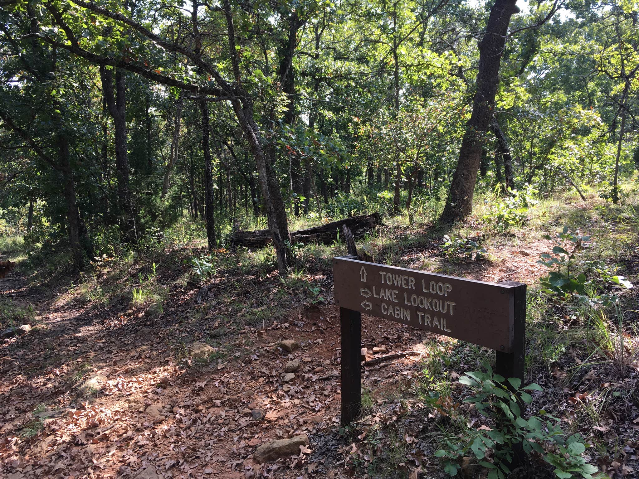 Camper submitted image from Osage Hills State Park Campground - 3