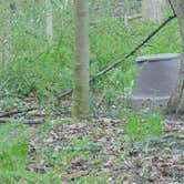Review photo of Tom's Creek Boat In Campsites — Delaware Water Gap National Recreation Area by John B., May 8, 2017