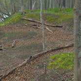 Review photo of Tom's Creek Boat In Campsites — Delaware Water Gap National Recreation Area by John B., May 8, 2017