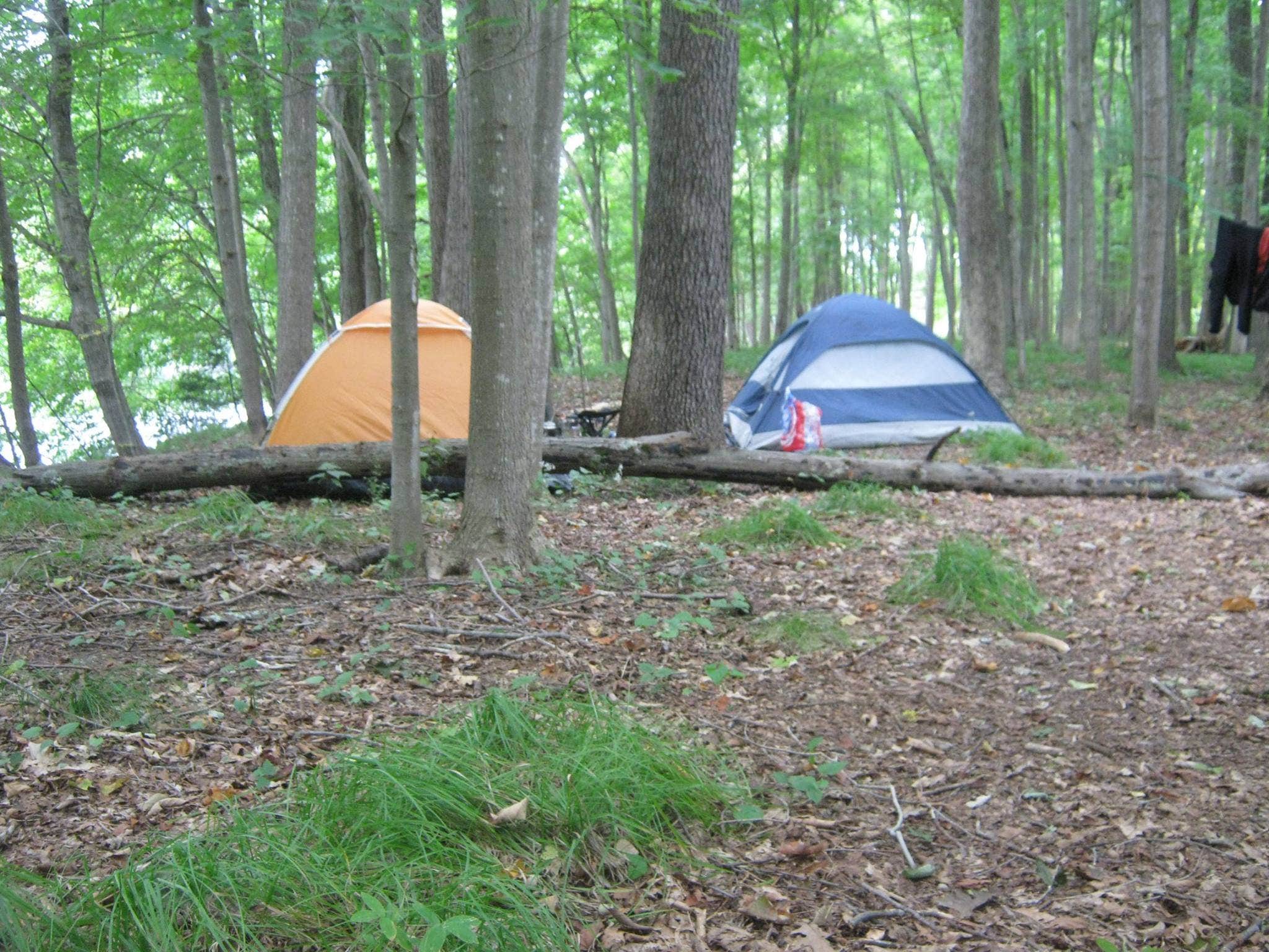 John B.'s photo at Tom's Creek Boat In Campsites — Delaware Water Gap National Recreation Area near Wallpack Center, NJ