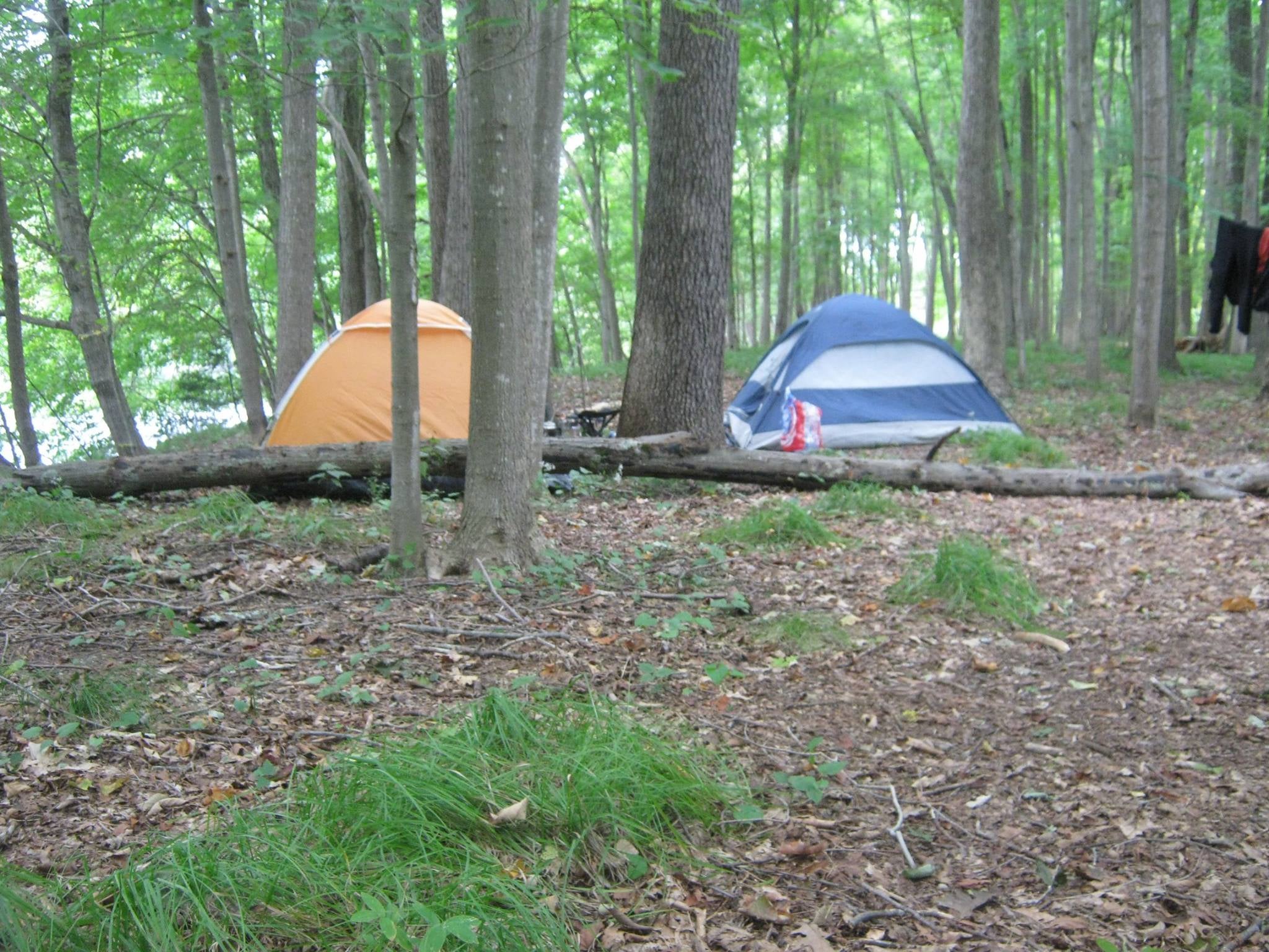 Camper submitted image from Tom's Creek Boat In Campsites — Delaware Water Gap National Recreation Area - 4