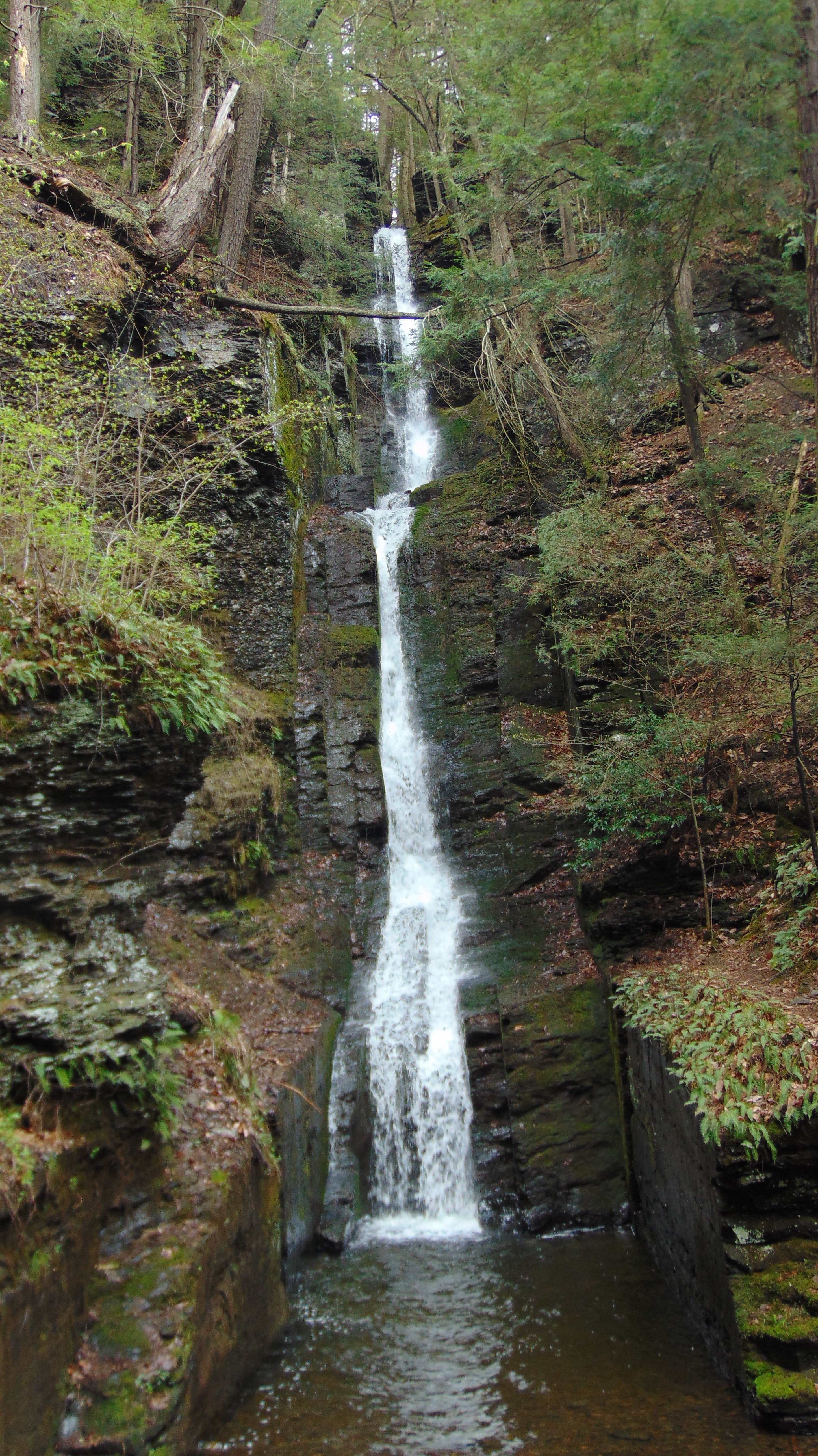 Camper submitted image from Tom's Creek Boat In Campsites — Delaware Water Gap National Recreation Area - 2