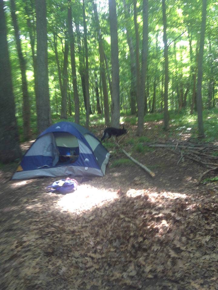 John B.'s photo of tent camping at Walter's Boat In Campsites — Delaware Water Gap National Recreation Area near Tobyhanna, PA