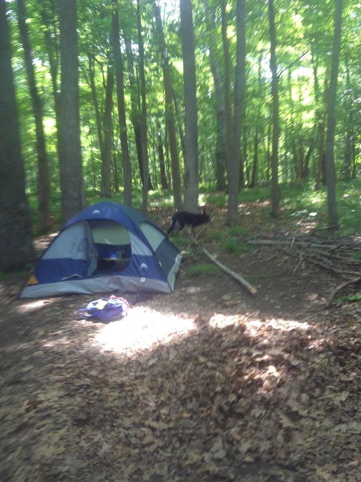 Camper submitted image from Walter's Boat In Campsites — Delaware Water Gap National Recreation Area - 3