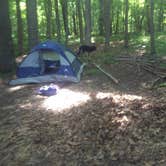 Review photo of Walter's Boat In Campsites — Delaware Water Gap National Recreation Area by John B., May 8, 2017
