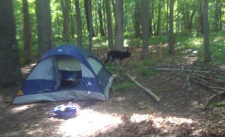 John B.'s photo of tent camping at Walter's Boat In Campsites — Delaware Water Gap National Recreation Area near Honesdale, PA