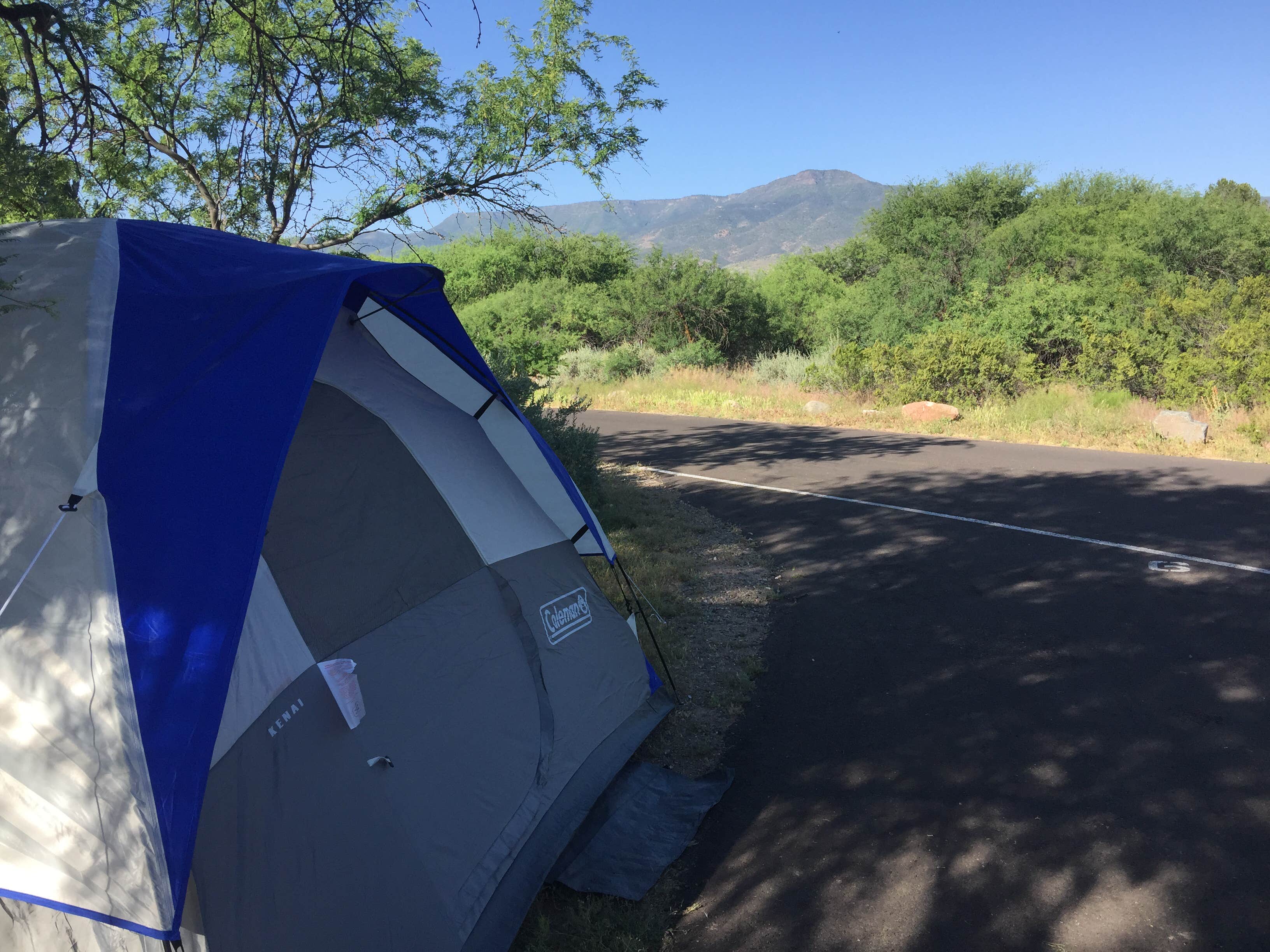 Jennifer H.'s photo at Dead Horse Ranch State Park Campground near Cottonwood, AZ