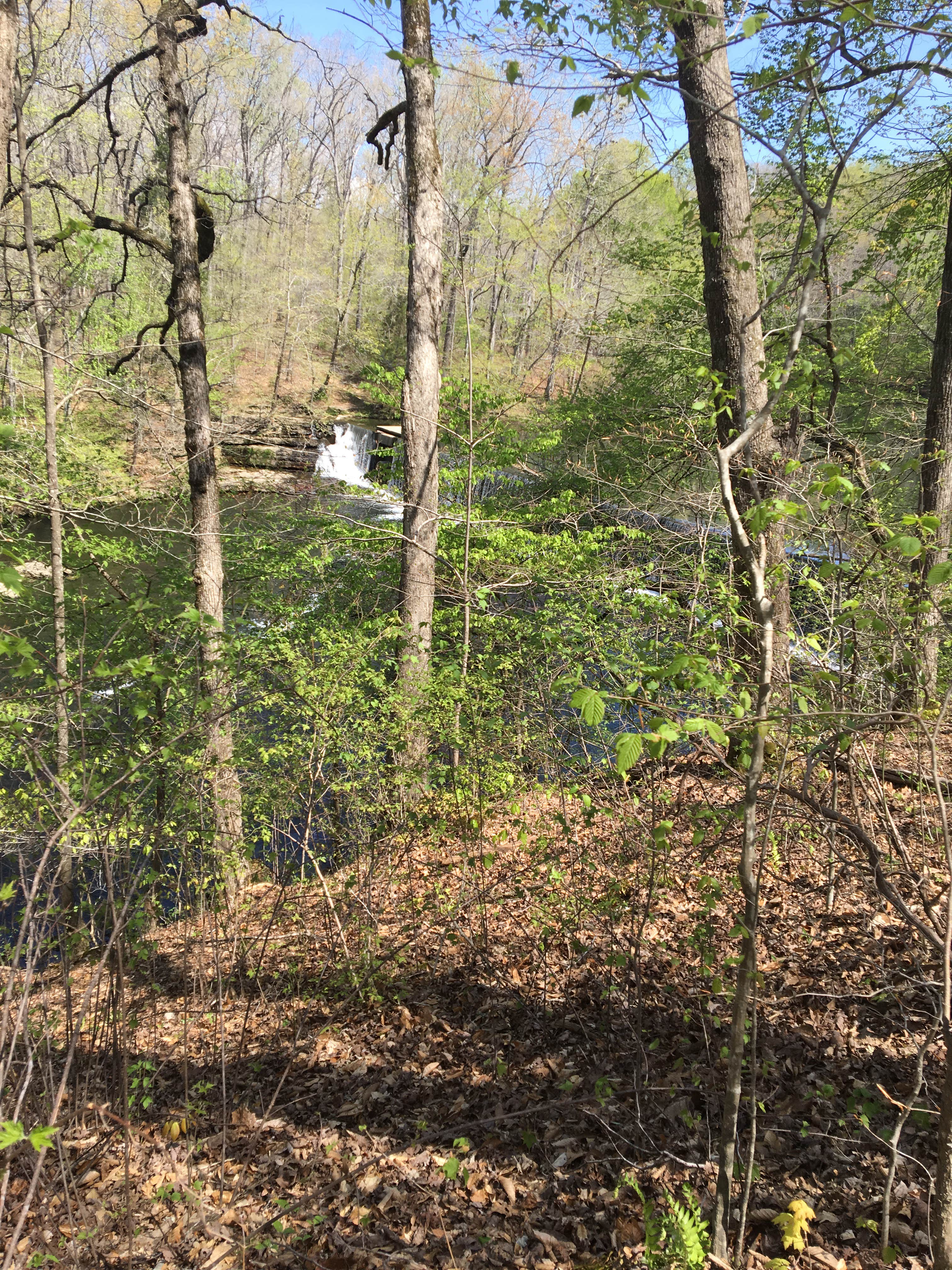 Camper-submitted photo at Old Stone Fort State Archaeological Park near Tullahoma, TN