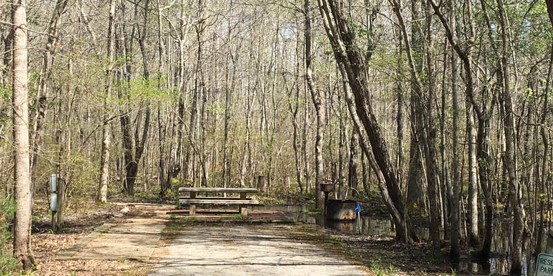 Camper submitted image from Old Stone Fort State Archaeological Park